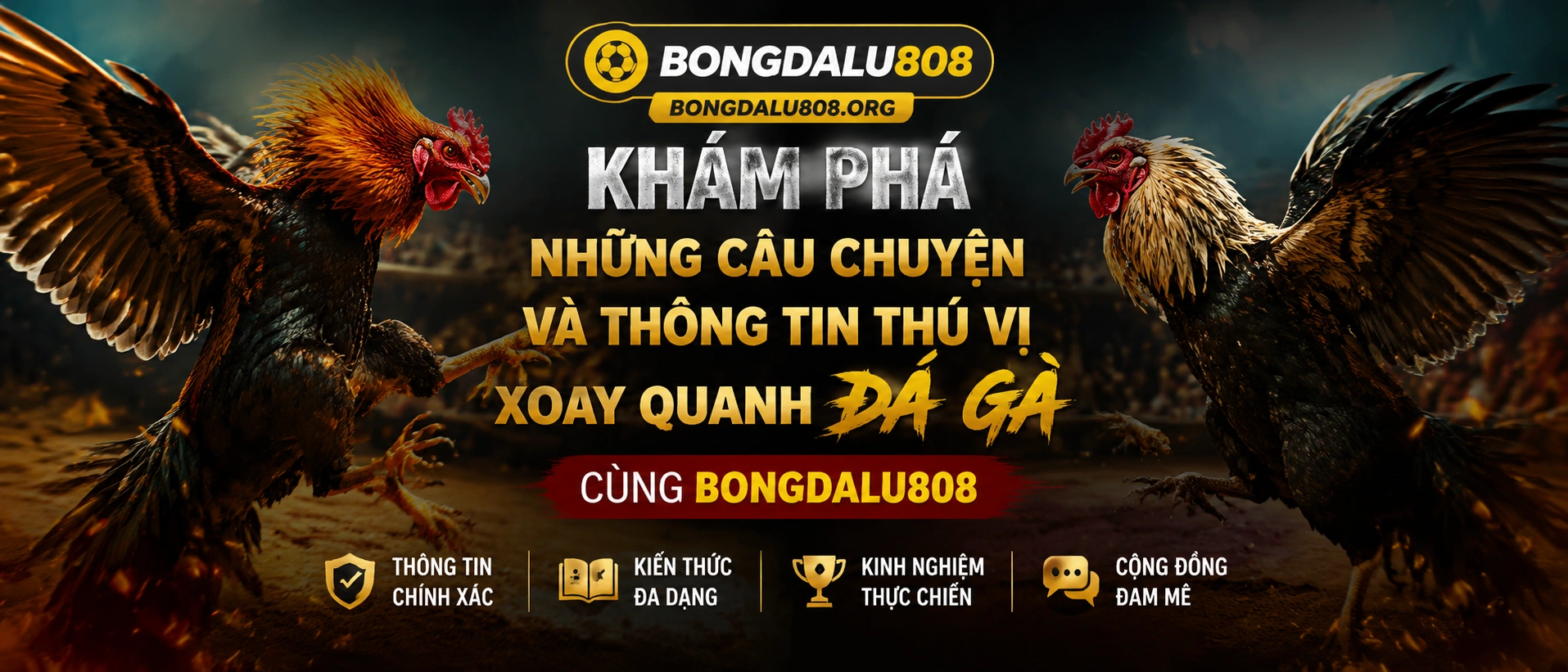 Đá Gà Garena live experience