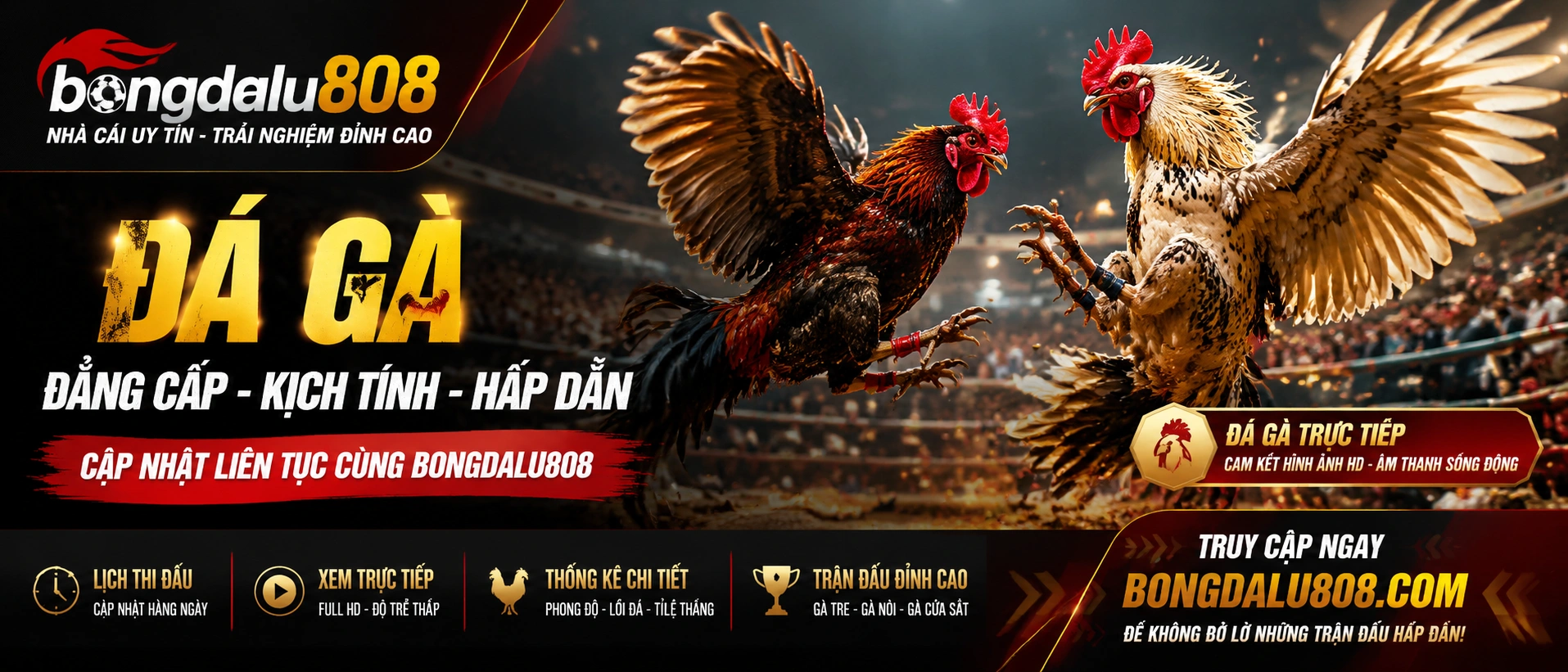 Đá Gà Trực Tiếp live content