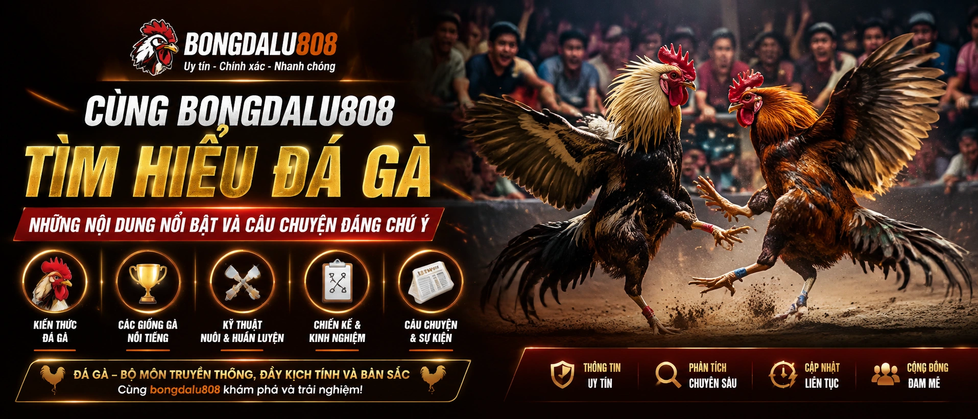 Đá Gà Campuchia category visual